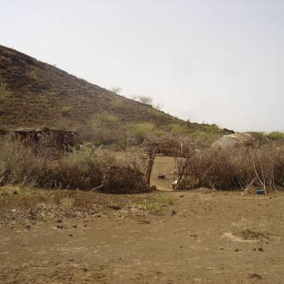 Enclos Autour Habitation Traditionelle Afar Enclos Autour Habitation Traditionelle Afar